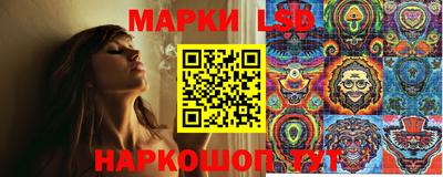 спайс Кинель